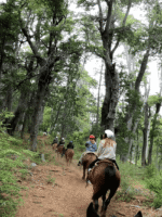 Cabalgata con vista al López-Aventura entre bosques y miradores del Circuito Chico