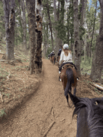Cabalgata con vista al López-Aventura entre bosques y miradores del Circuito Chico - Imagen 2