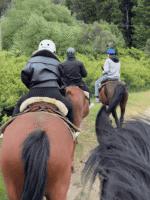 Cabalgata con vista al López-Aventura entre bosques y miradores del Circuito Chico - Imagen 3