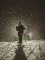 Winter Park - Cena Show y Ski nocturno - Imagen 2
