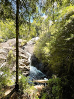 Puerto Blest y Cascada "Los Cantaros" con traslado