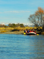 Rafting Limay por la estepa patagónica