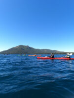 Kayak por el Lago Moreno - Imagen 3